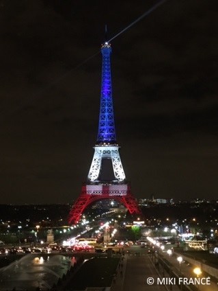ネオン管（本物）PARISエッフェル塔